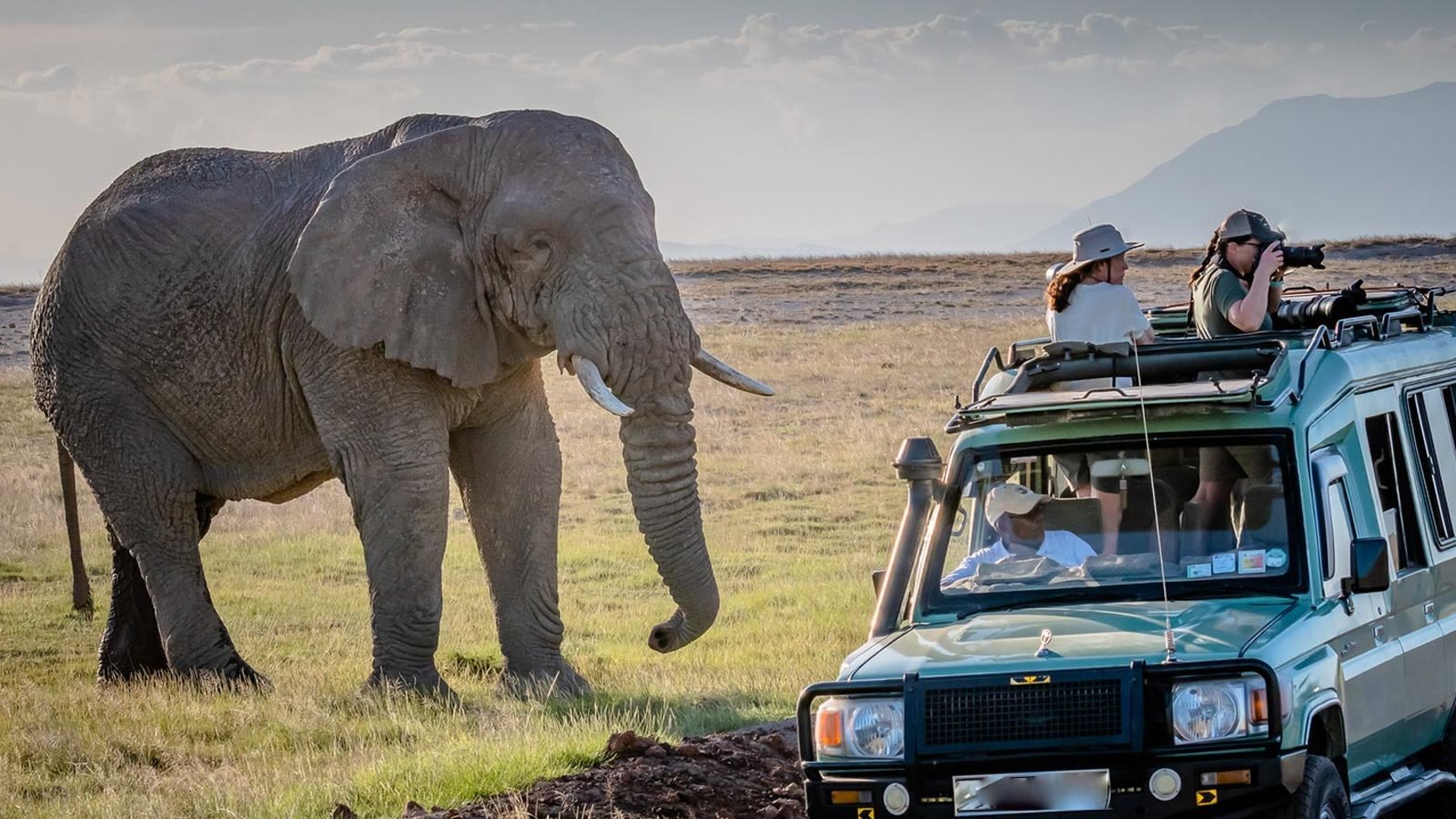 Game drive alongside a bull elephant