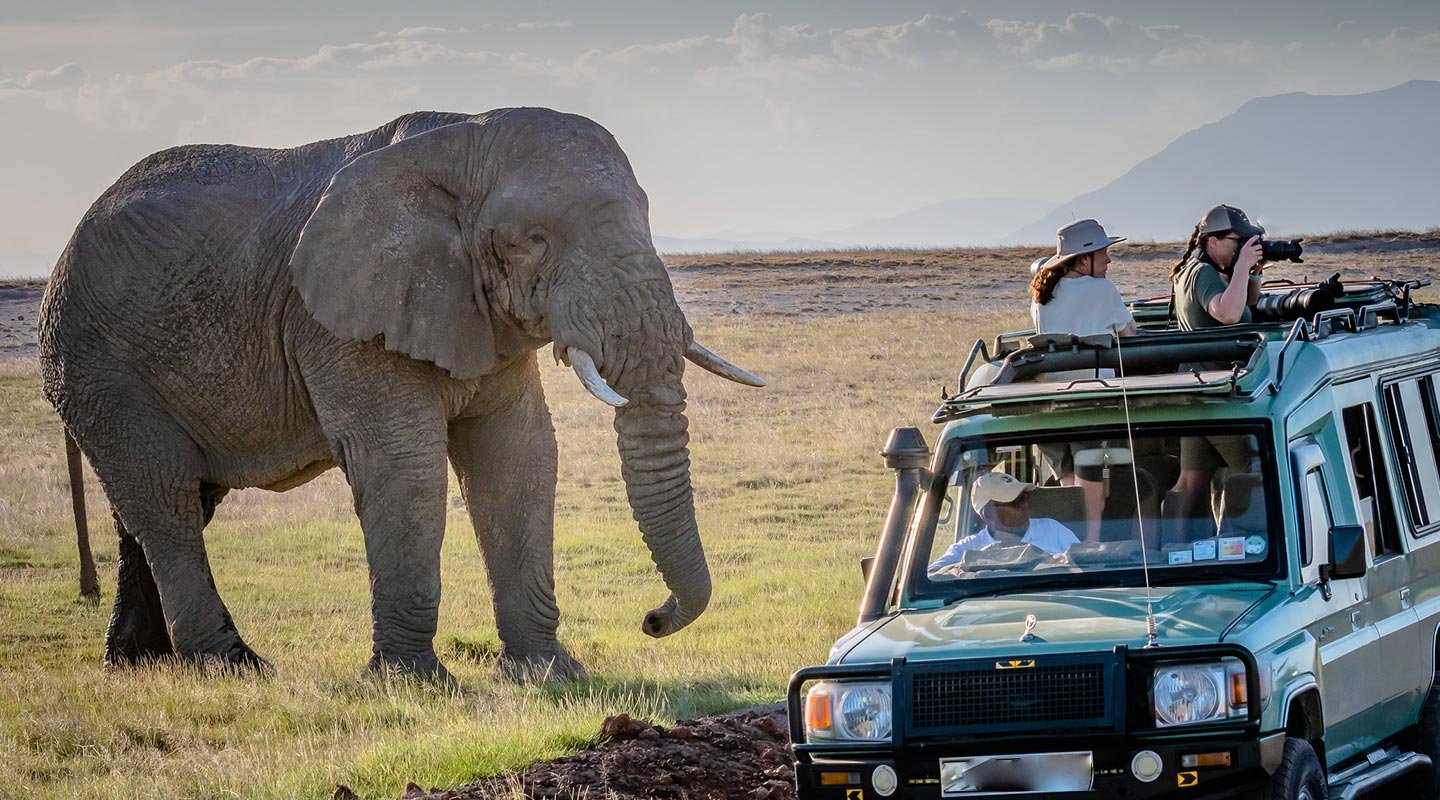 Game drive