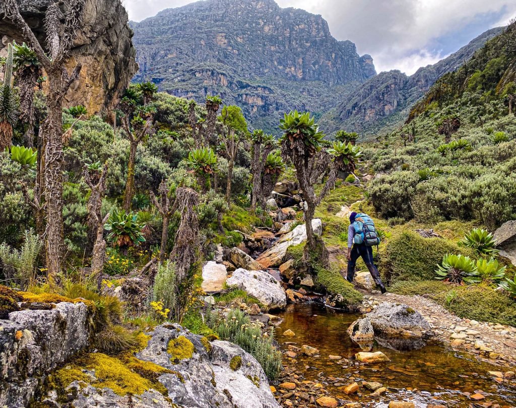 Uganda mountains