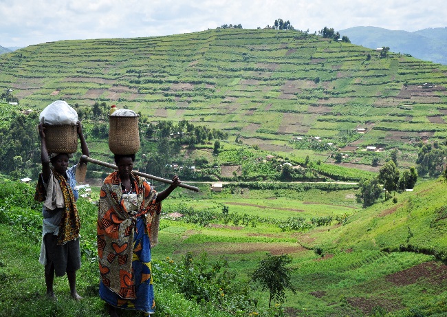 D:\Gilbert\ALL PICTURES\Pictures- high resolution\Picture2\Nature & Locals in Bwindi, Ruhija.jpg